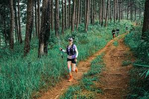 BIB: 
                            <button type="button" onclick="openModal(25654962)" class="btn btn-primary btn-sm float-right btn-popup" data-toggle="modal" data-target=".modal-high-quality">
                        <i class="fas fa-shopping-cart"></i> Add to Cart
                    </button>
                                            <button type="button" onclick="isThisMe(25654962, true)" class="btn btn-success btn-sm float-right btn-popup btn-isme hidden" data-toggle="tooltip" data-placement="bottom" title="นี่คือรูปของคุณใช่ไหม คลิกที่นี่เพื่อเอาเข้าอัลบั้ม">
                        <i class="fas fa-plus"></i> Add to album
                    </button>
                    <button type="button" onclick="isThisMe(25654962, false)" class="btn btn-warning btn-sm float-right btn-popup btn-isnotme hidden">
                        <i class="fas fa-ban"></i> Remove from album
                    </button>